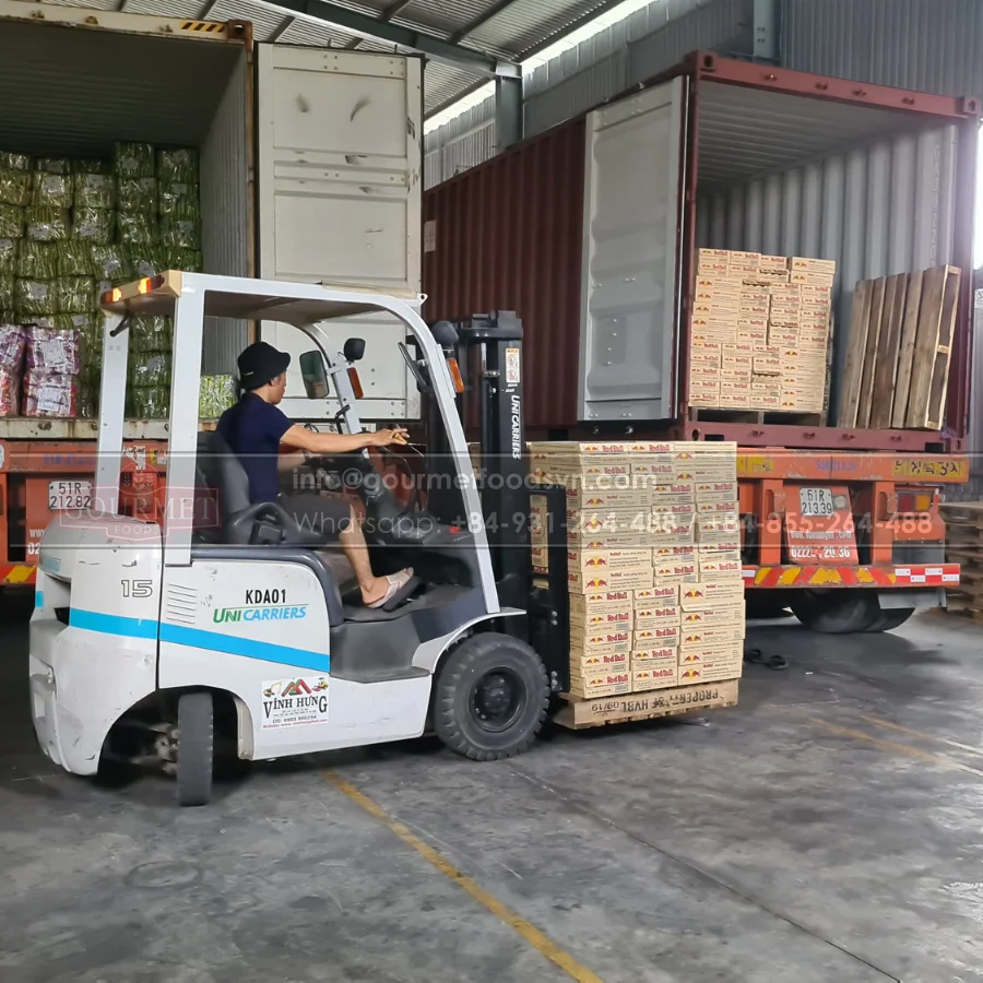 Fresh Gac Fruit From Viet Nam Help To Improve Human Vision As Well As Prevent Cataracts And Other Vision Problems