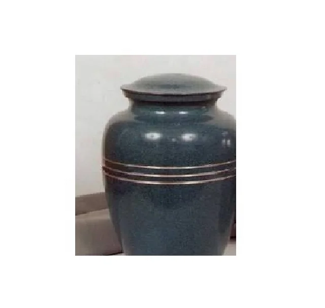 Funeral Supplies Metal Coffin Casket for Sale Steel China Intelligence Factory ANA Ceremony Antique Style White 18 Pink Type new