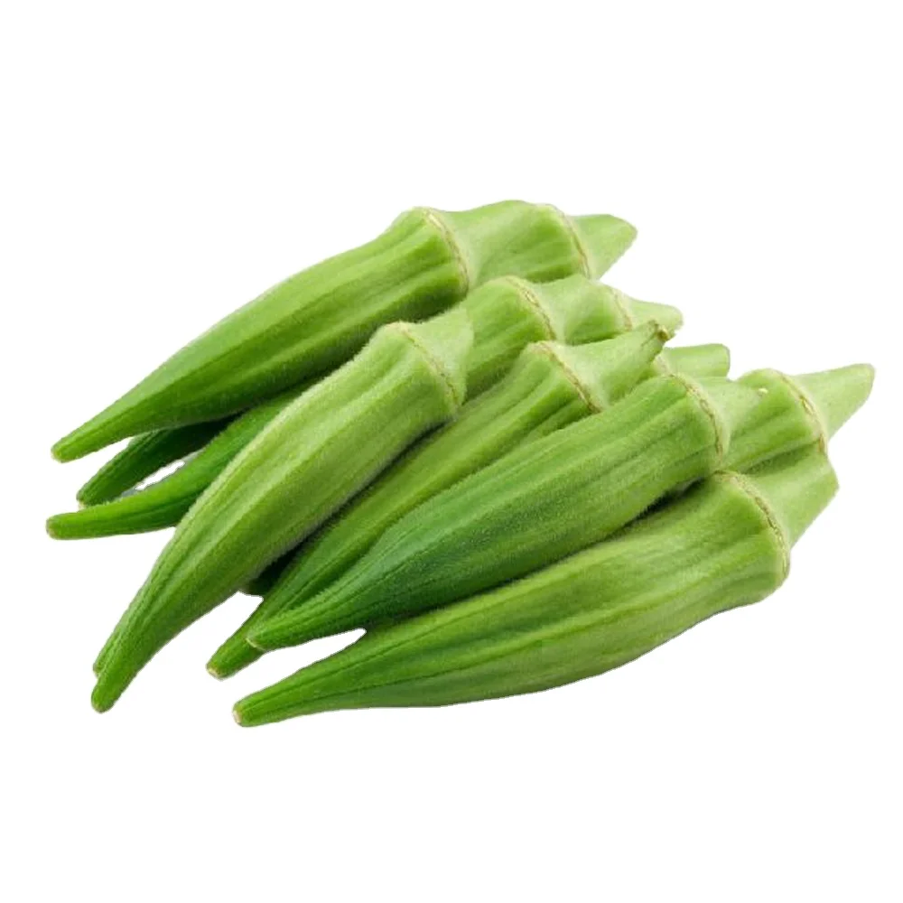 Fresh Okra Wholesale Supplier High Quality Fresh Okra from Vietnam 2021