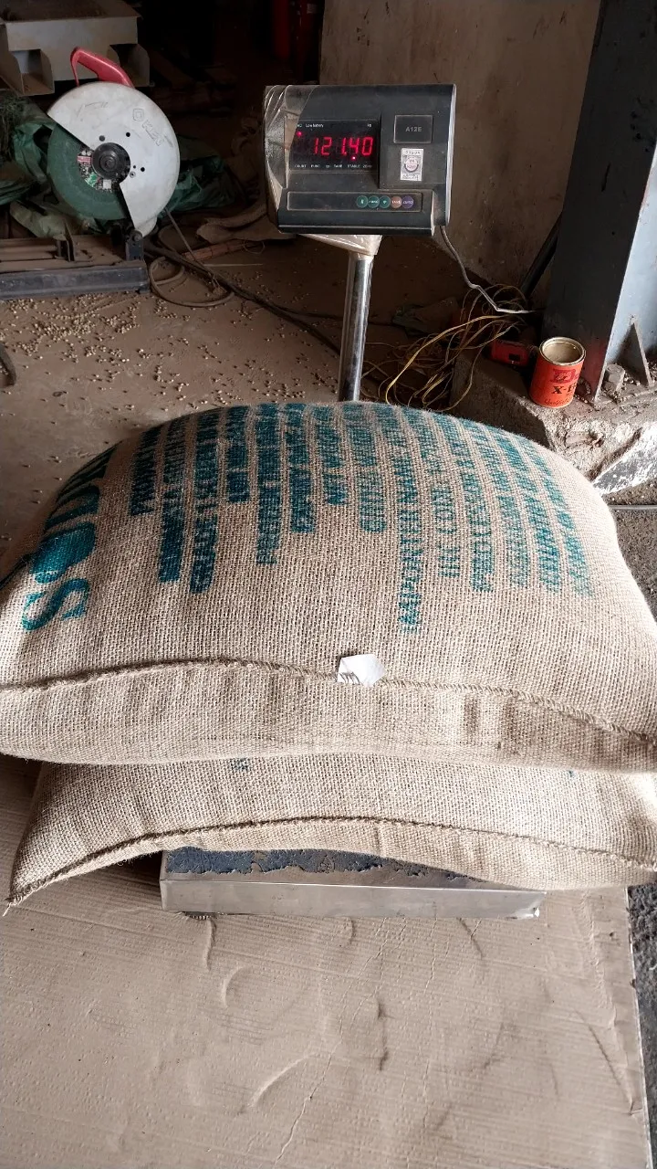 Premium Quality Kirar Raw Roasted Whole Bean Spicailty Arabica Washed 50 kg Strong Good Taste Hot Selling Available in Bulk