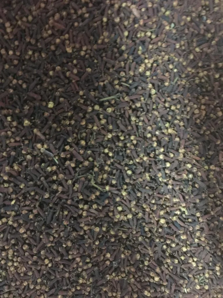Clove Herbs Spices Top Quality Spices Organic Clove Meat Cooking Products in Bulk High Essential Oil Content Cloves