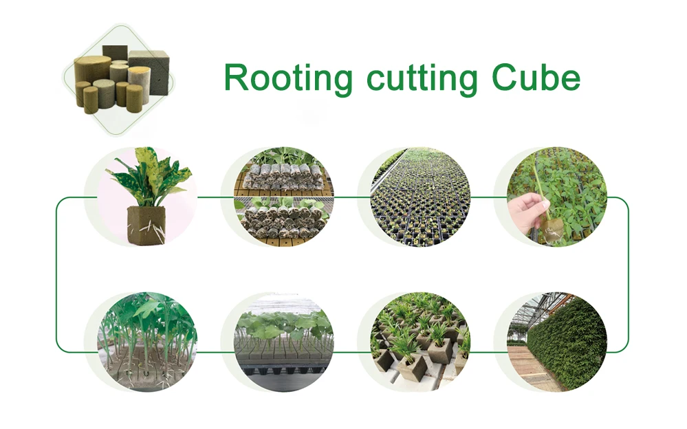 Rooting  Cubes for Saplings and tomatoes no Hormone