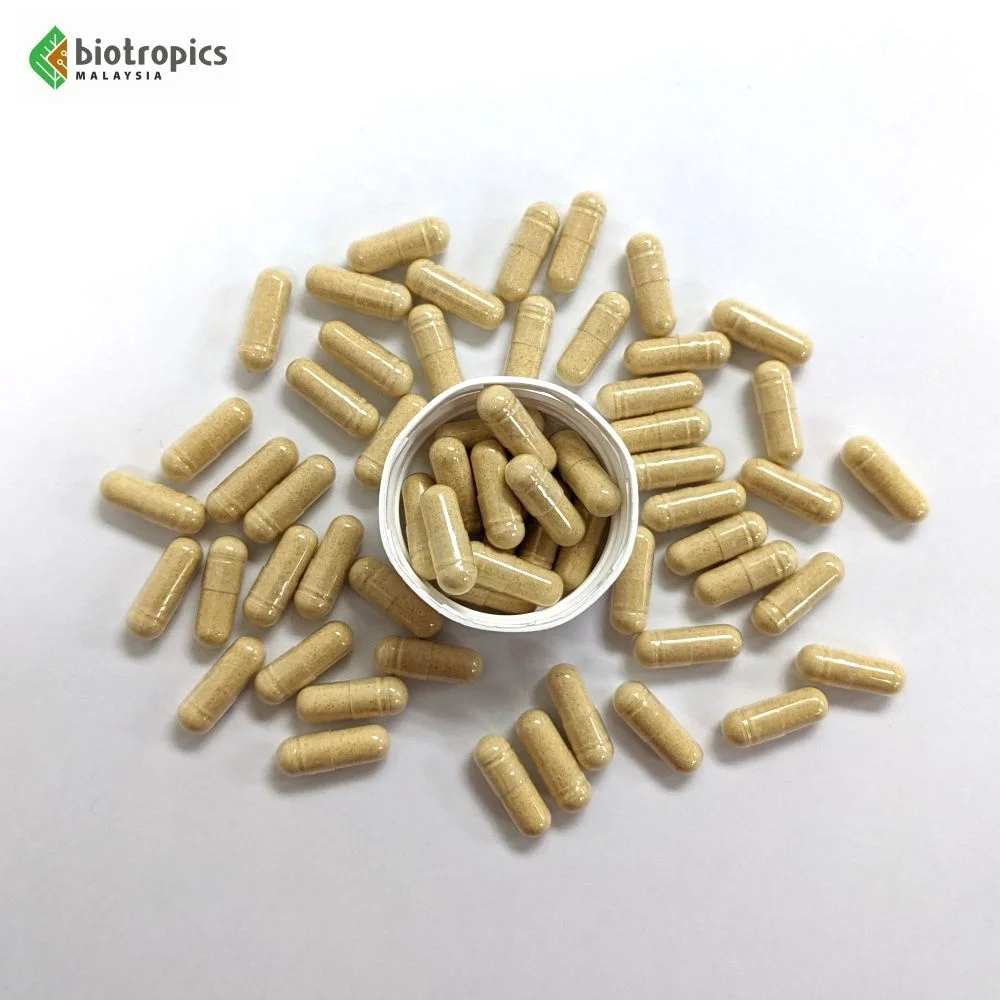 Private Label Tongkat Ali Extract Supplement 100% Root Tongkat Ali Capsule Formulated for Women