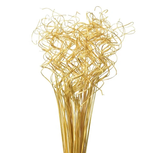 Top Selling Amazon Christmas Sparkle Glitter Wall Decoration Wooden Dry Material Curly Ting Ting Wedding Branches Gifts