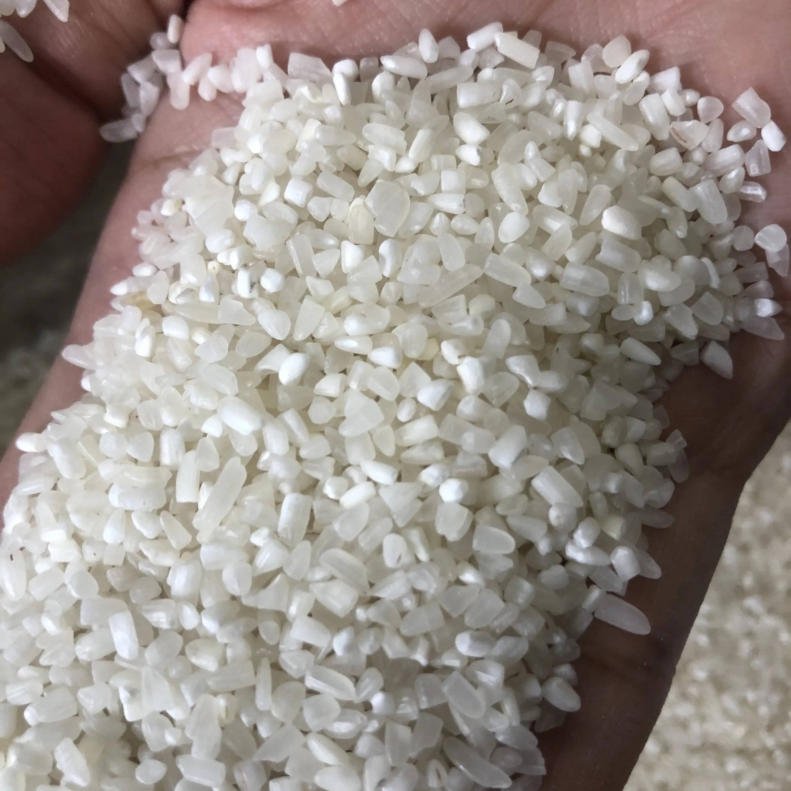 Vietnam Long grain white rice 5% 10% 15% 25% 100% Broken White Rice Bags 504 rice at Low Market Price - JANE LEE + 84968234538