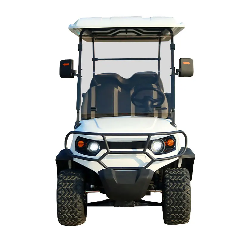 48V/72V New Design with Curtis Controller Electric Golf Cart 5kw ODM Service for Exclusive Brand Agent