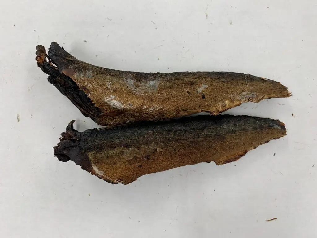 Japanese Good Quality Dried Mackerel Fish with good Prices Blue fish type, rich in flavor, ideal for egg dishes, often used in J