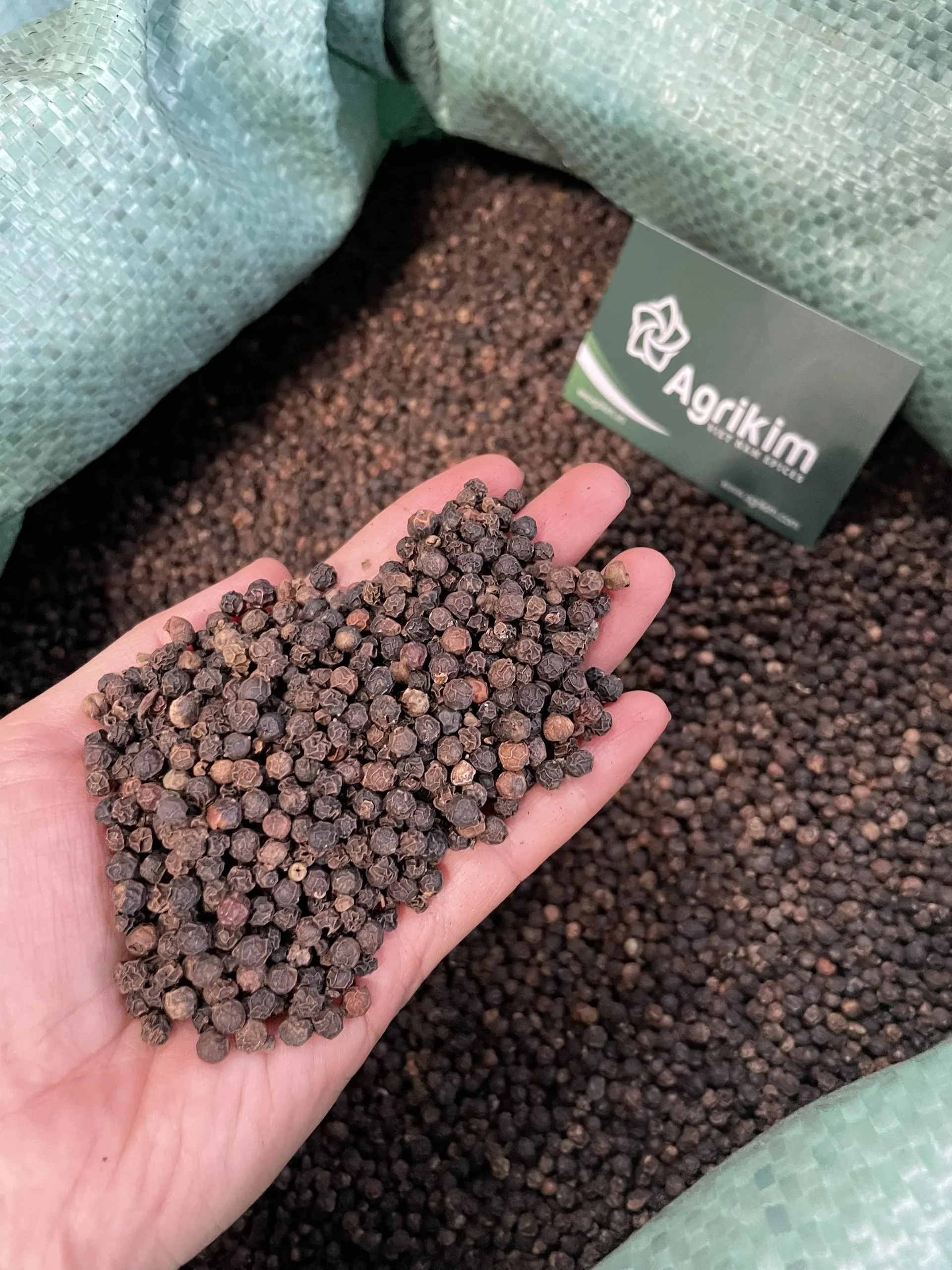 Vietnam Supplier Wholesale 550G/L Machine Cleaned Seasoning Black Pepper Whole Spice Dried Powder Cheap Price +84 368 591 192
