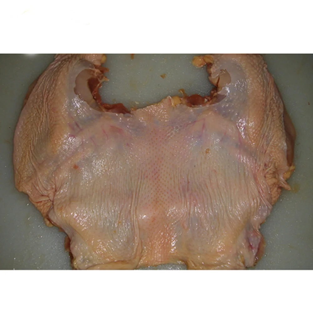 Замороженная халяльная курица IQF свежая замороженная оптовая продажа Органическая Халяль лучшее качество 100% чистая из США птица