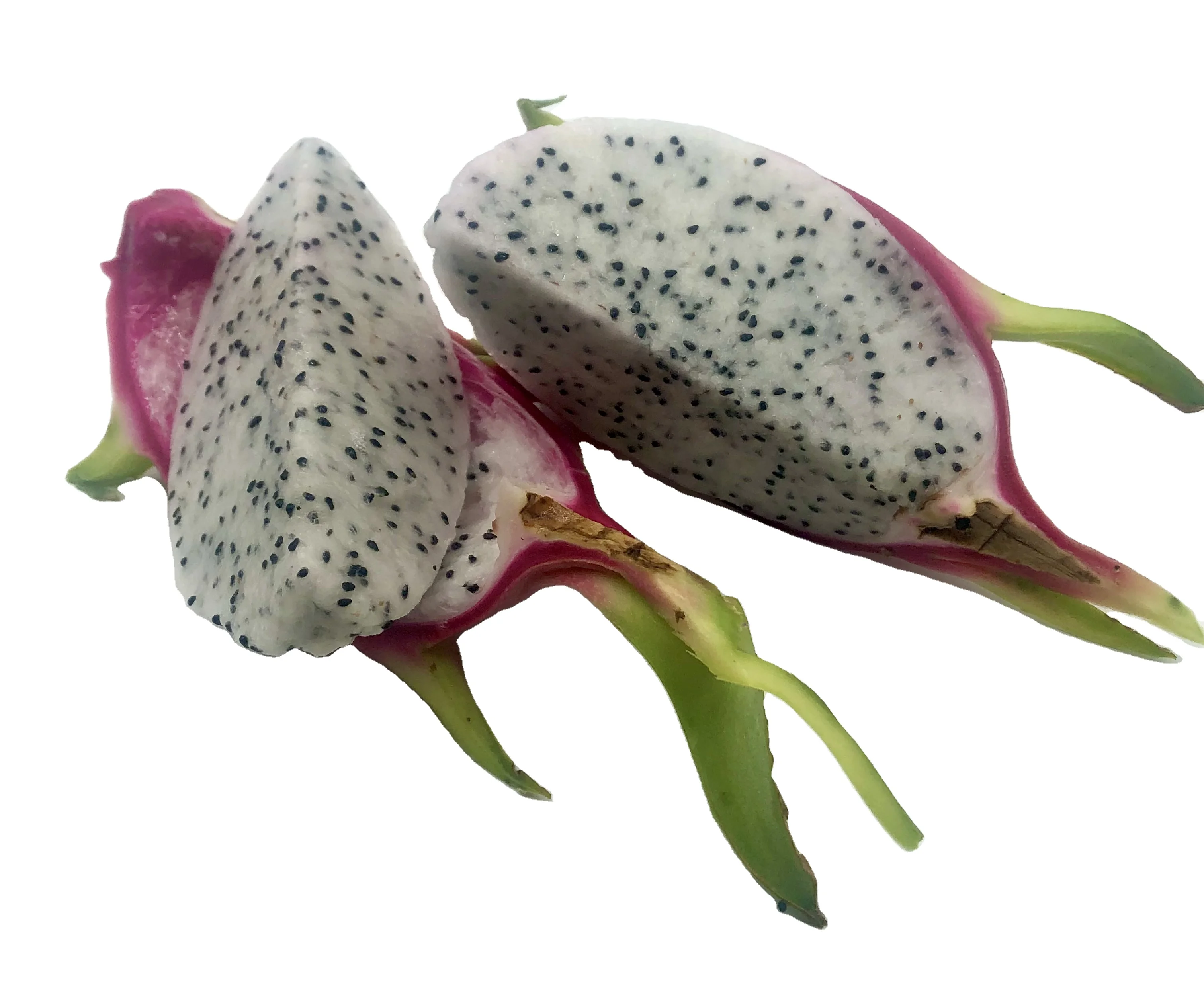 Fresh Dragon Fruit from High Quality and Competitive Price Thailand product