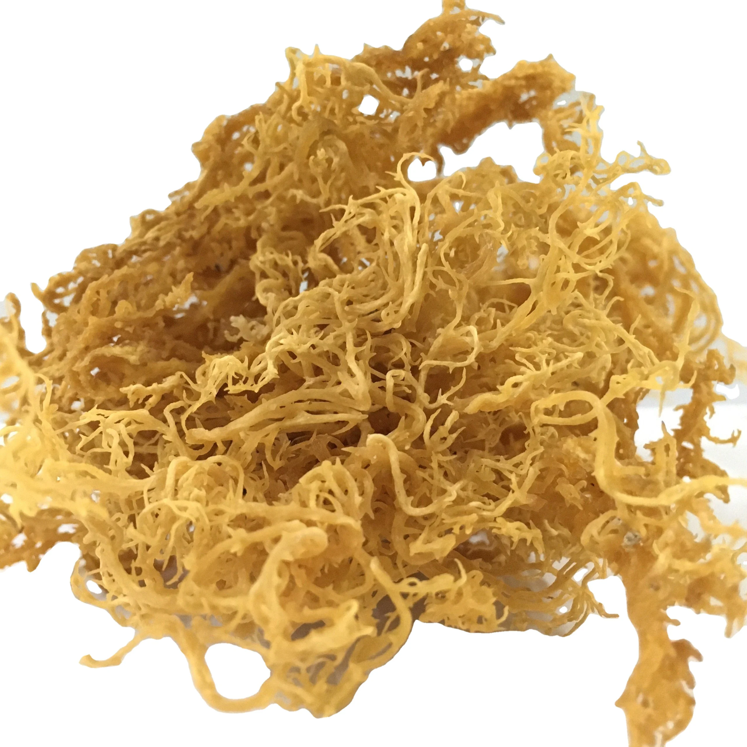 Kappaphycus alvarezii (cottonii) и Eucheuma denticulatum (spinosum) ирландский мох Seamoss из Вьетнама