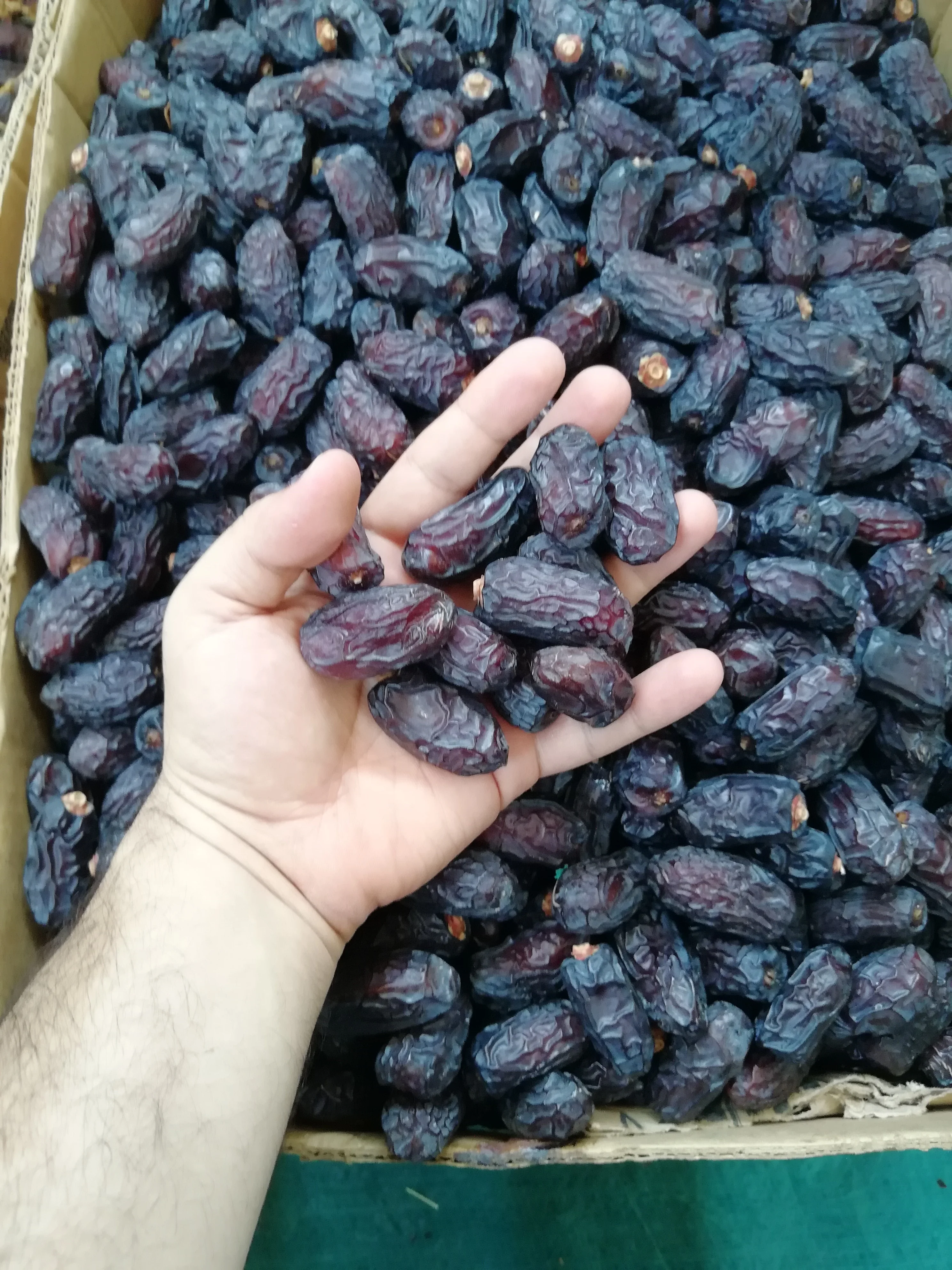 New Harvest Safawi dates from Saudi Arabia