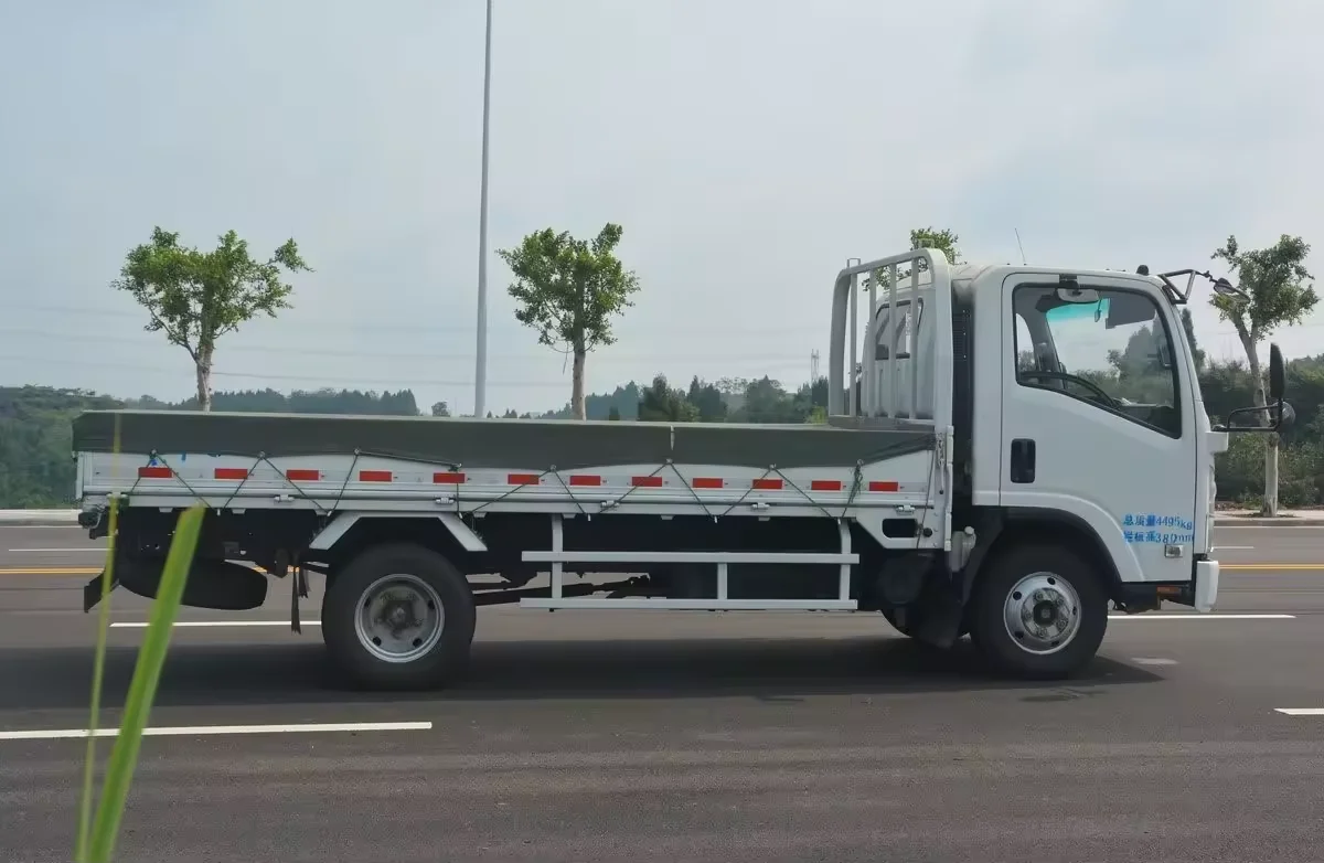 Japan brand mini cargo truck small loading Isuzu lorry truck  good selling city to city distance lorry truck 4X2