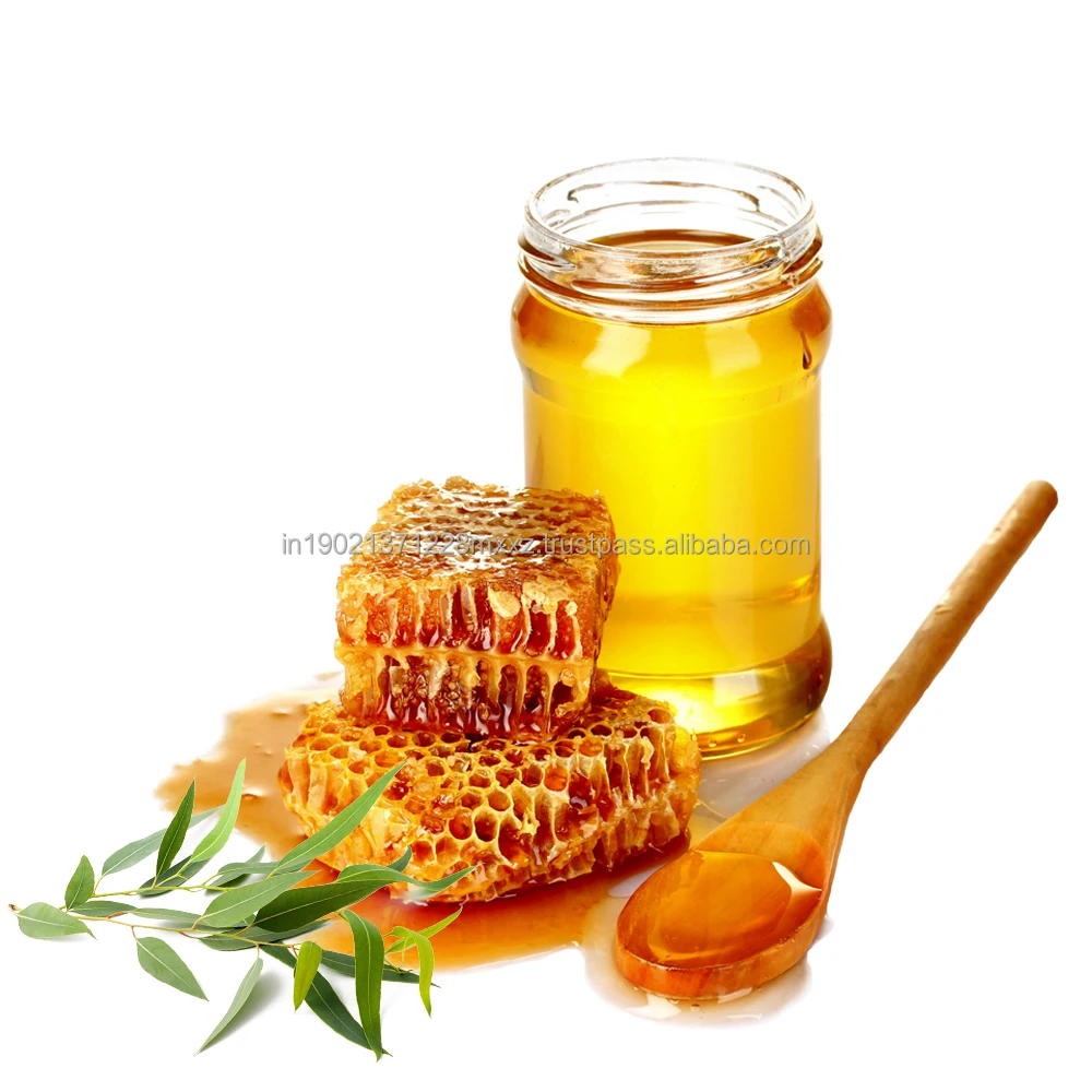 Best Price Eucalyptus Honey in Bulk Naturally Processed Glass Jar for Honeybee Health Custom Packaging Cough Respiratory Health