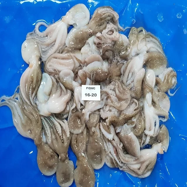 Высококачественный замороженный осьминог, очищенный из Индии