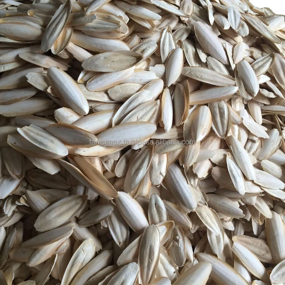 PREMIUM BULK SUPPLY: DRIED CUTTLEFISH BONE FOR PET NUTRITION!