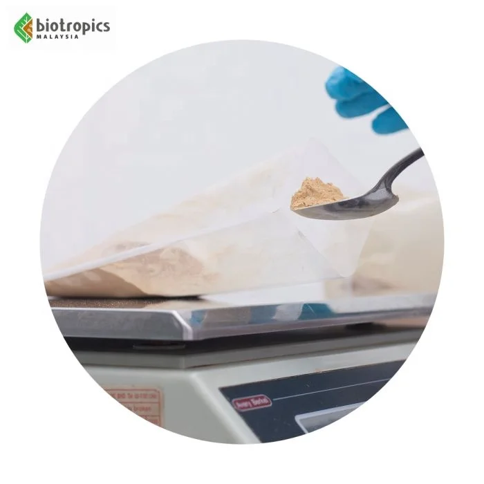 New Premium Standardized Ingredient Eurycoma Longifolia (Tongkat Ali) Roots Extract Harvested & Processed in Malaysia