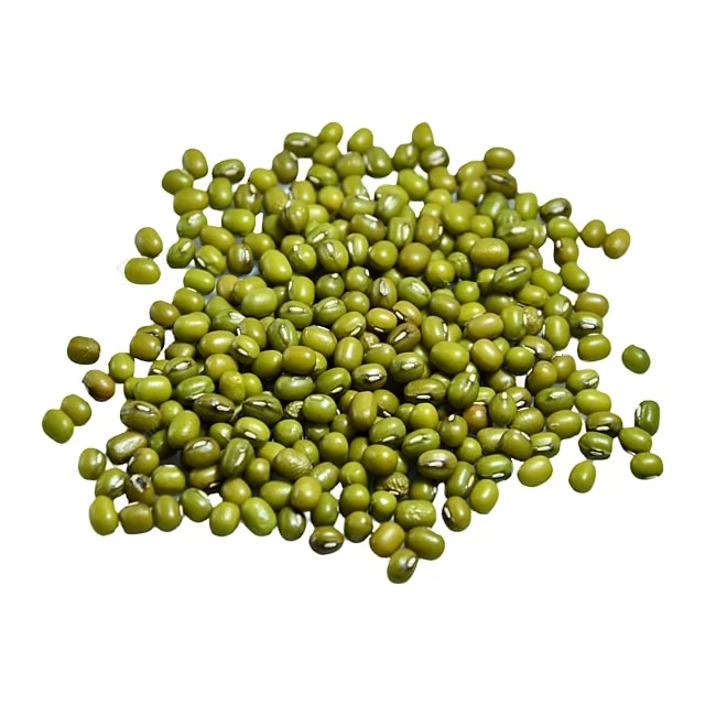 Premium Quality mung bean Available For Export