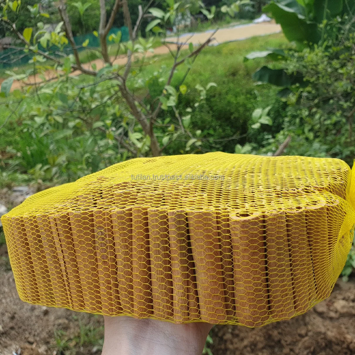  Лучшая цена высокое качество вьетнамская Корица/вьетнамская кассия