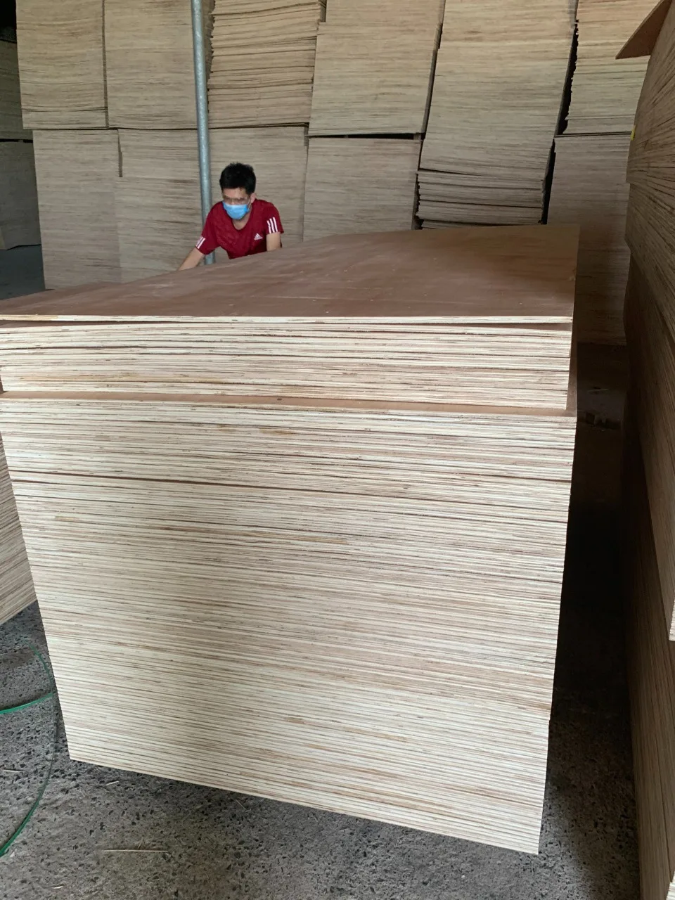 Competitive Price Modern MDF Warehouses Film Faced Melamine 1220*2440mm Pine Birch Hardwood Core Plywoods Packaged High Quality