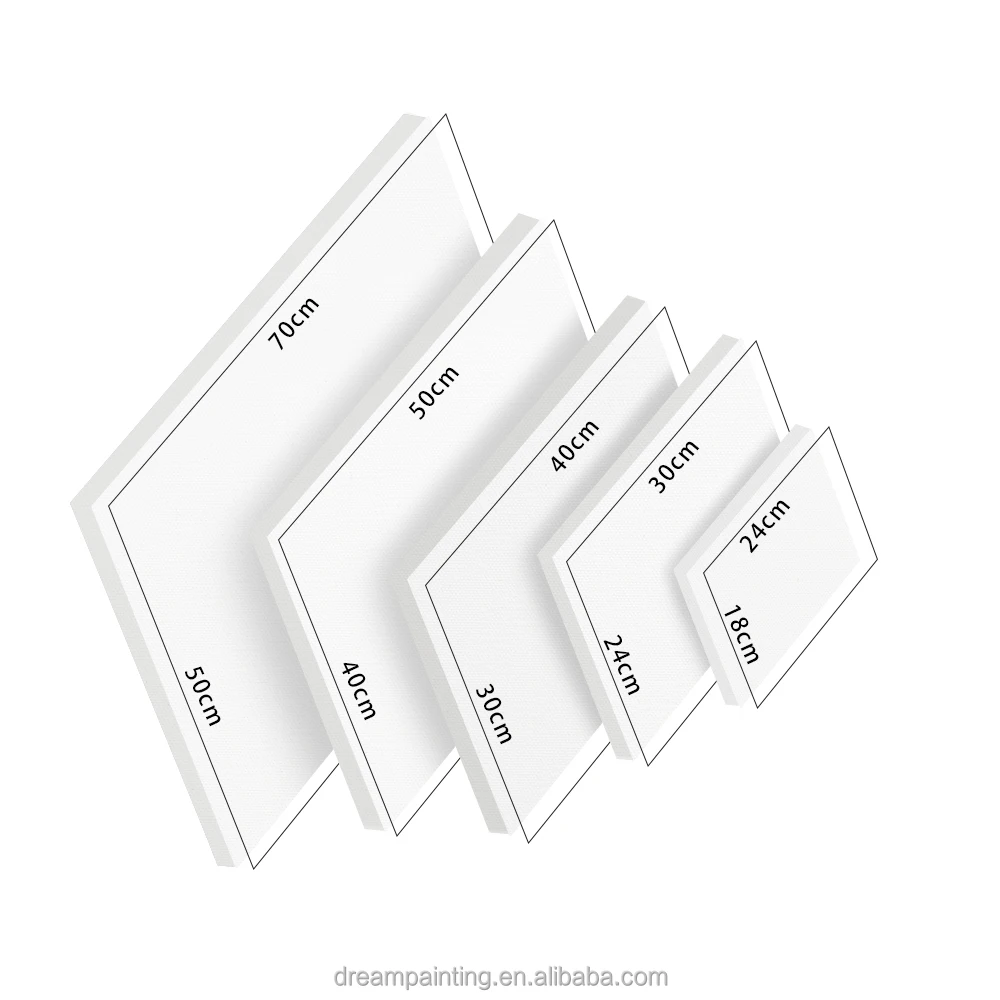 5 Pack Multi Size Blank Stretched Canvas Print White 280g Cotton Artist Painting Canvas with Frame