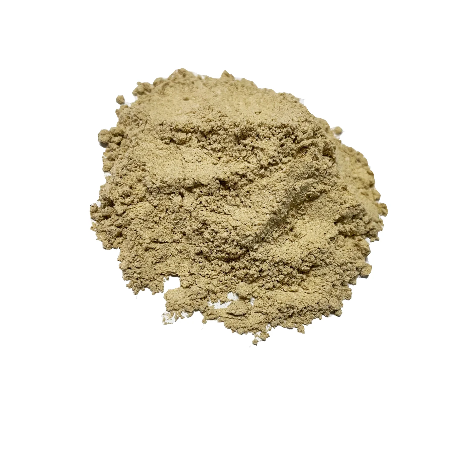 Tea mushroom extract best price shitake mushroom powder