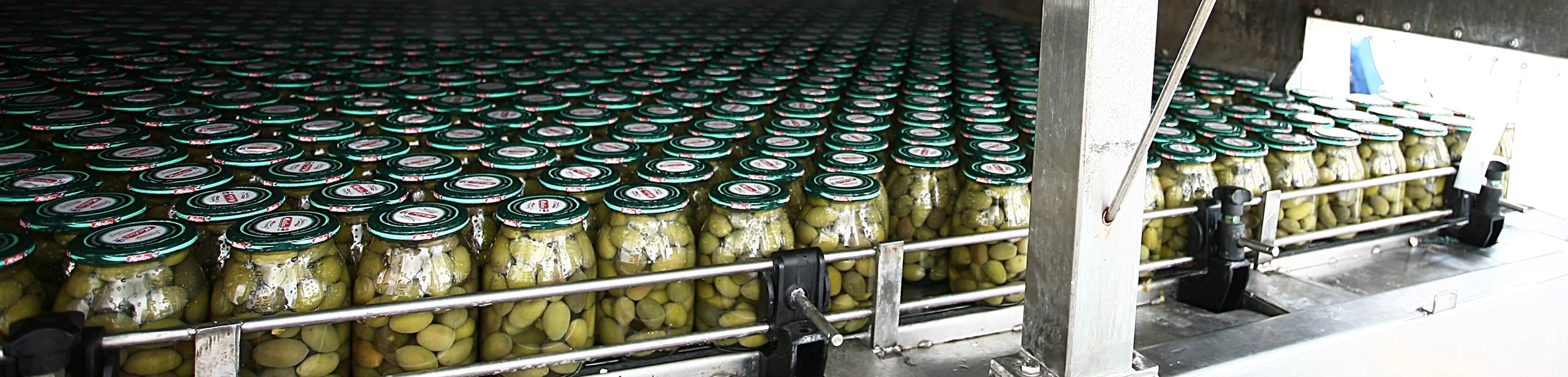 Made in Italy Preserved Green Olives 1000g Canned Green Big Olives with Stone Steamed Brc Ifs Sedex Salty 1 Kg Oil