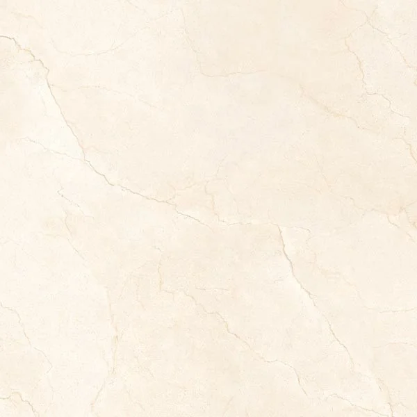 Foshan High Quality 600x600mm Albedo Saturio Gray Modern Polished Porcelain Floor Tiles Supplier From India 60x60/24x24