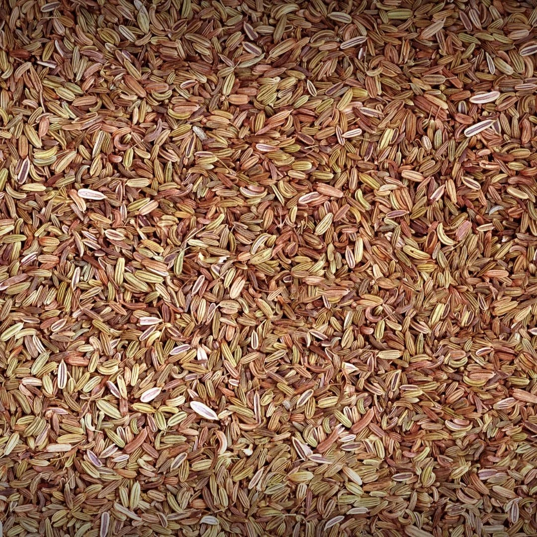Export Natural Organic Cumin Seeds wholesale Price Spice Herbs Food Grade Cumin Seeds In Bulk Quantity