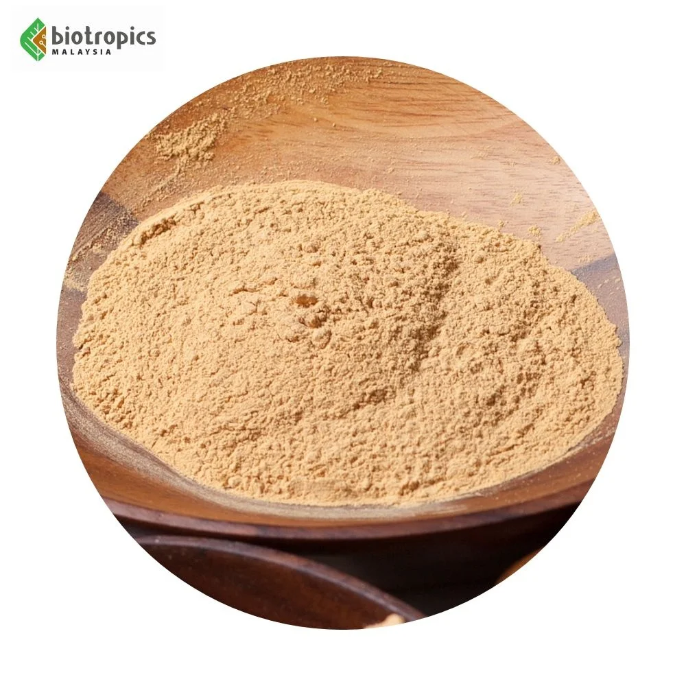 High Grade Functional Beverage Malaysia Nu-Caffe 5s Tongkat Ali Coffee Premix Instant Coffee Powder in Sachets