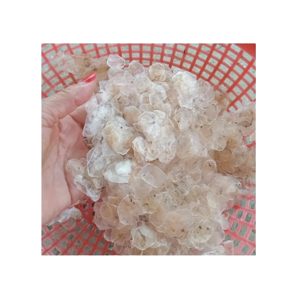 
Fish Scale From Bangladesh 