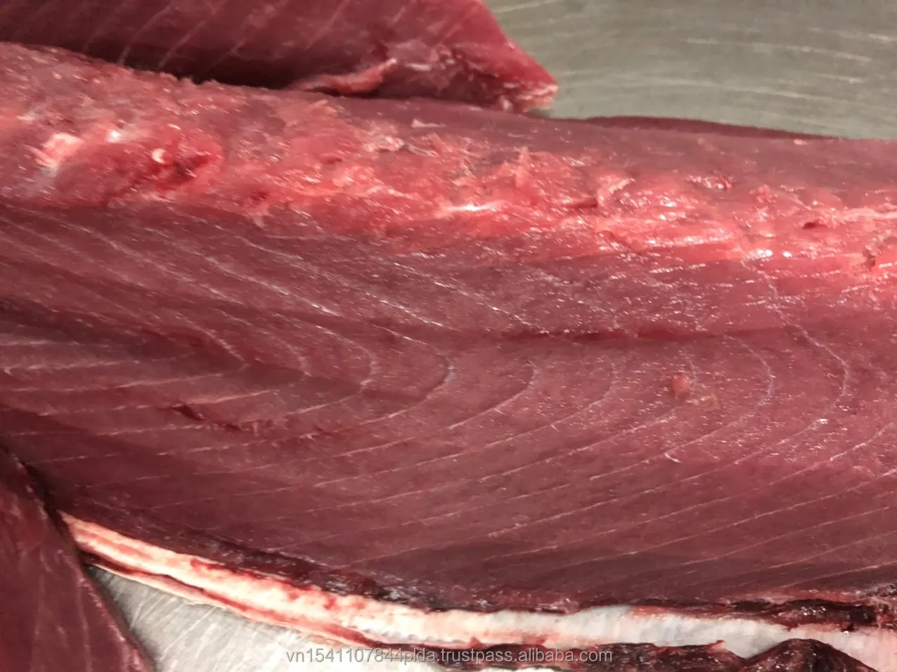 Hot Selling In 2021 For Frozen Tuna Steak The Yellowfin Tuna Steak CO Shipping From Vietnam