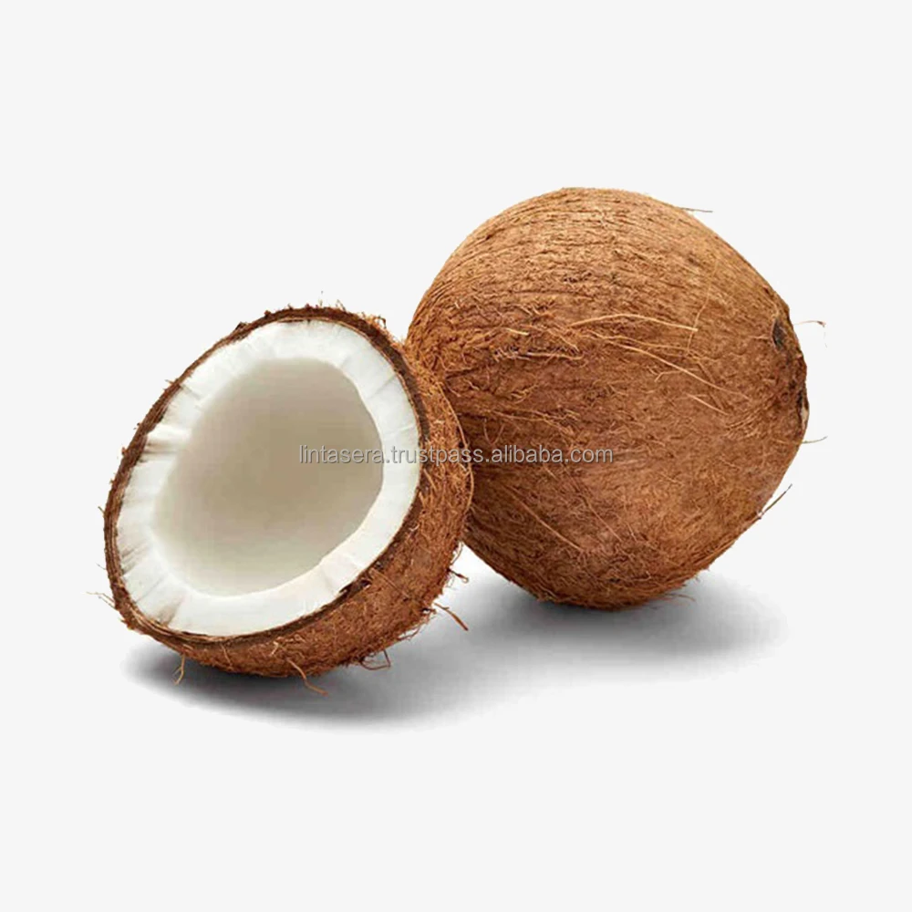 Best Selling  Export  Quality Wholesales Semi Husked  Matured Coconut