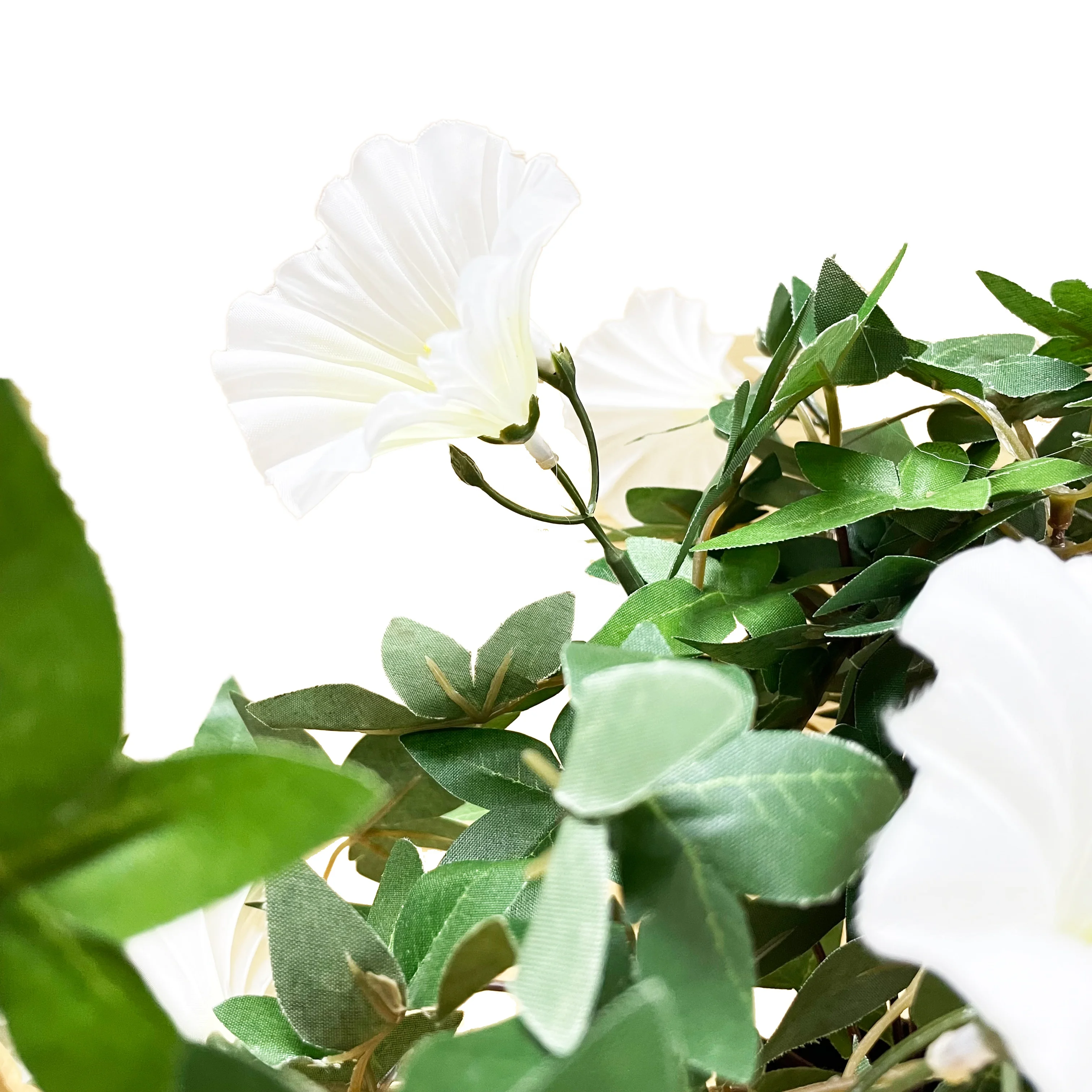 classic Silk Screen cloth white with different colors outdoor everyday medium real looking floral Morning glory in plastic vase