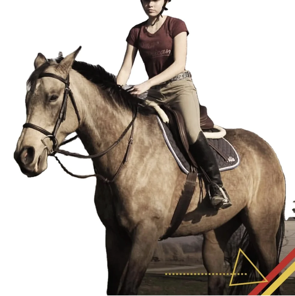 Custom Stylish Equestrian Fast Sample High Wither Design Dressage Cotton Horse Saddle Pad Competition Hors Saddle pads