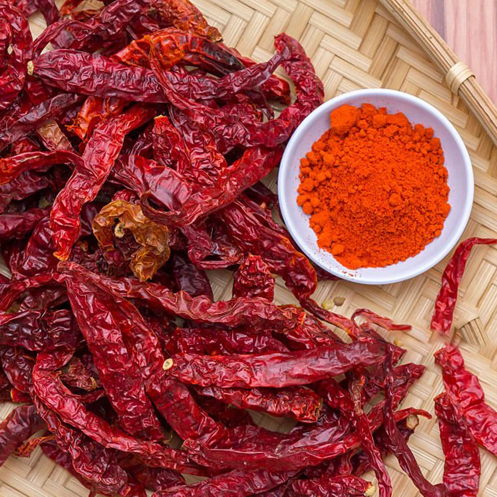 Sannam Organic and Natural Sannam dried red chilli without stem Flavor fairy and seasoning sensation chilli from India