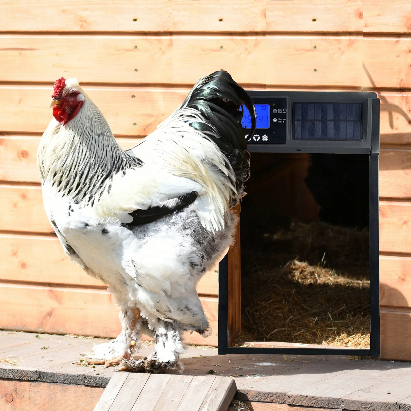 SolarGuard 24/7 Solar Powered Automatic Chicken Coop Door with Timer and Light Sensor