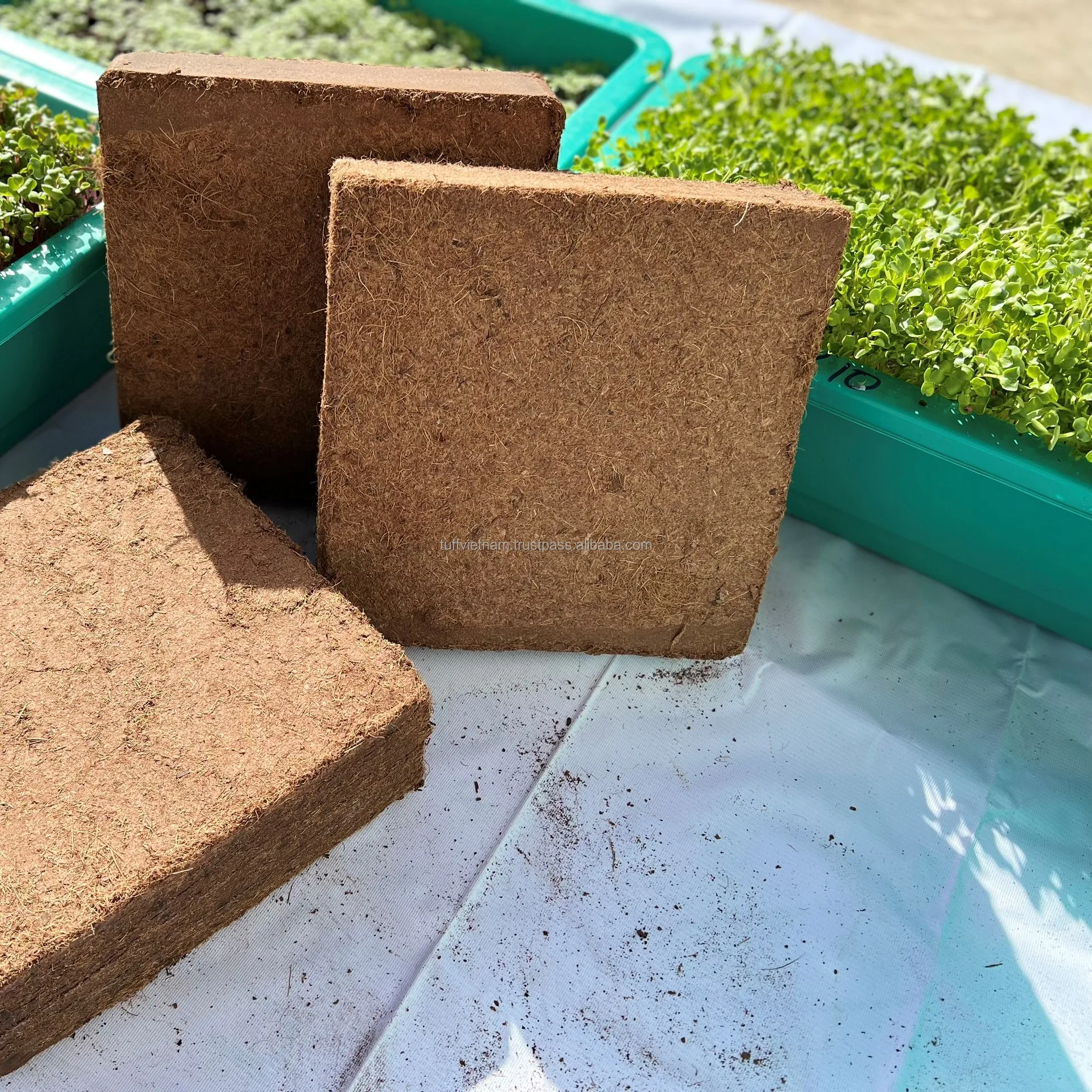 Hot sale husk coconut coir plant flower Cocopeat 5kg Bale For Plants Agriculture Best Quality Brand Tuff Manufacturer Low EC Low