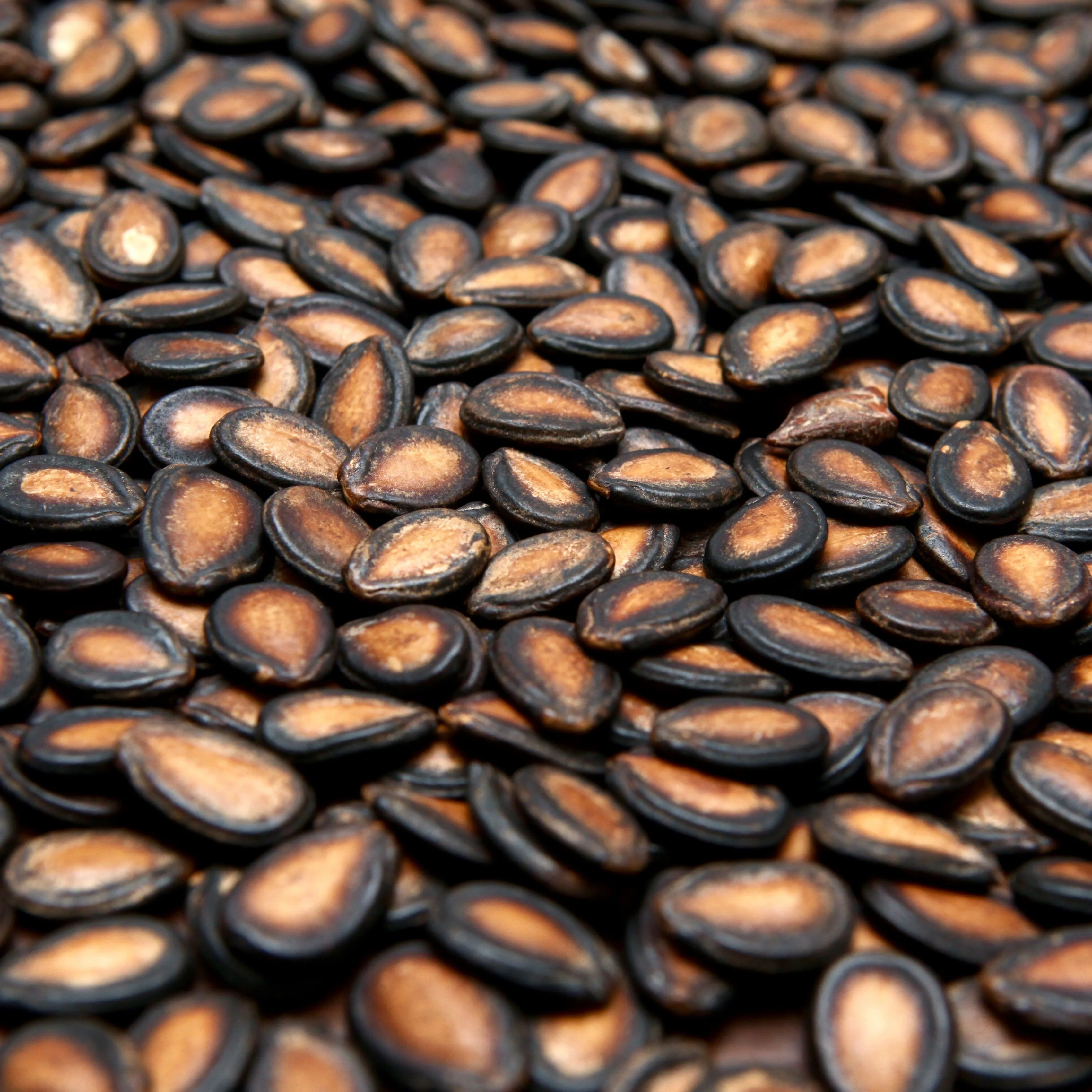 dried wholesale water melon seeds kernels hulled from black and red watermelon seeds