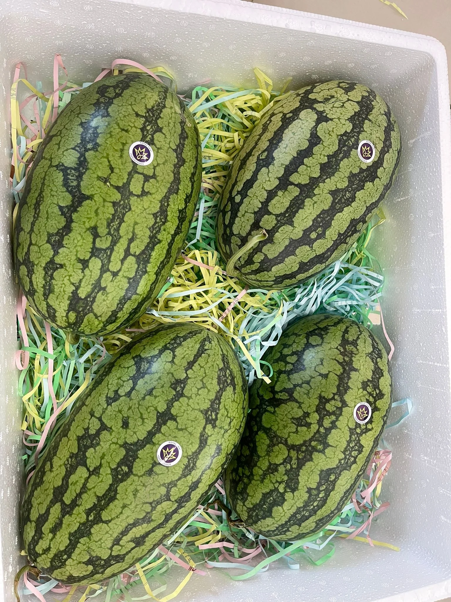 Yellow Water Melon
