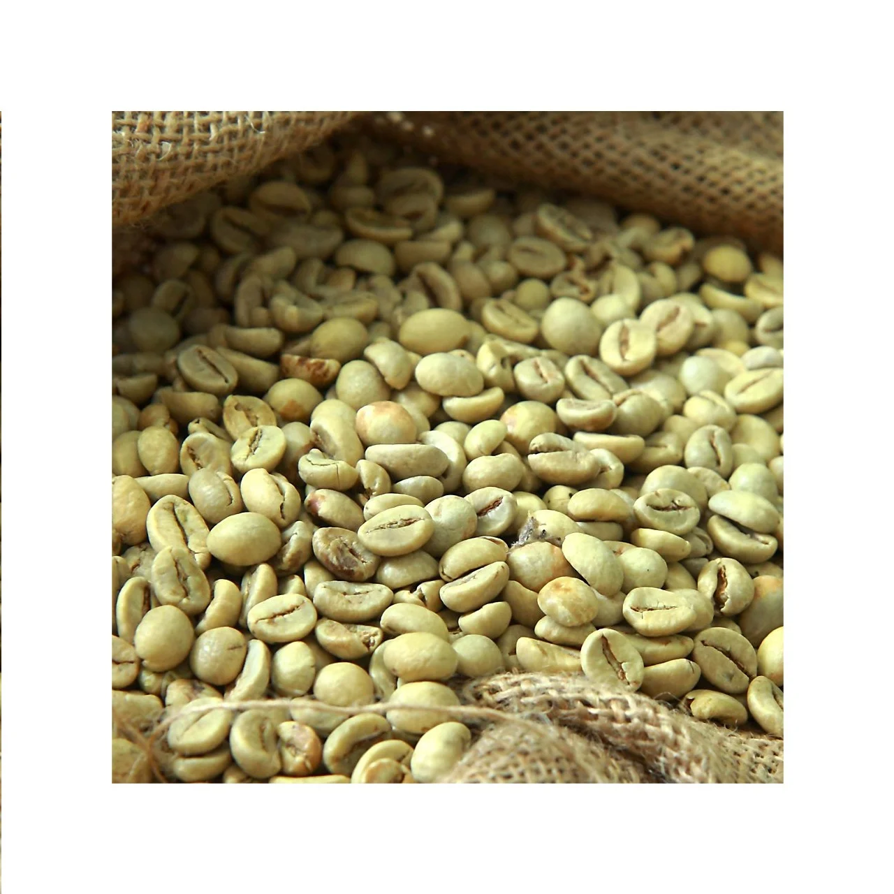 Экспорт кофе, смешанные зеленые кофейные зерна abrabica, зеленые кофейные зерна, пакеты 50 кг