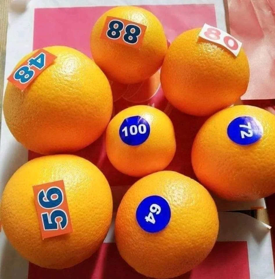 Best Selling Fresh Valencia oranges