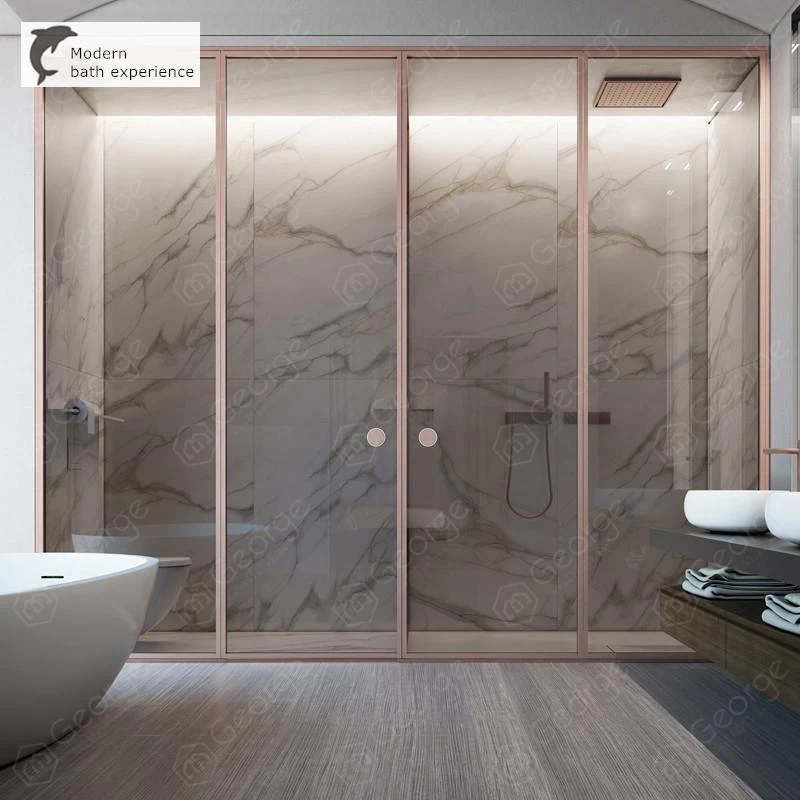 frosted shower doors Stainless steel 304 bathroom door with strong tempered glass