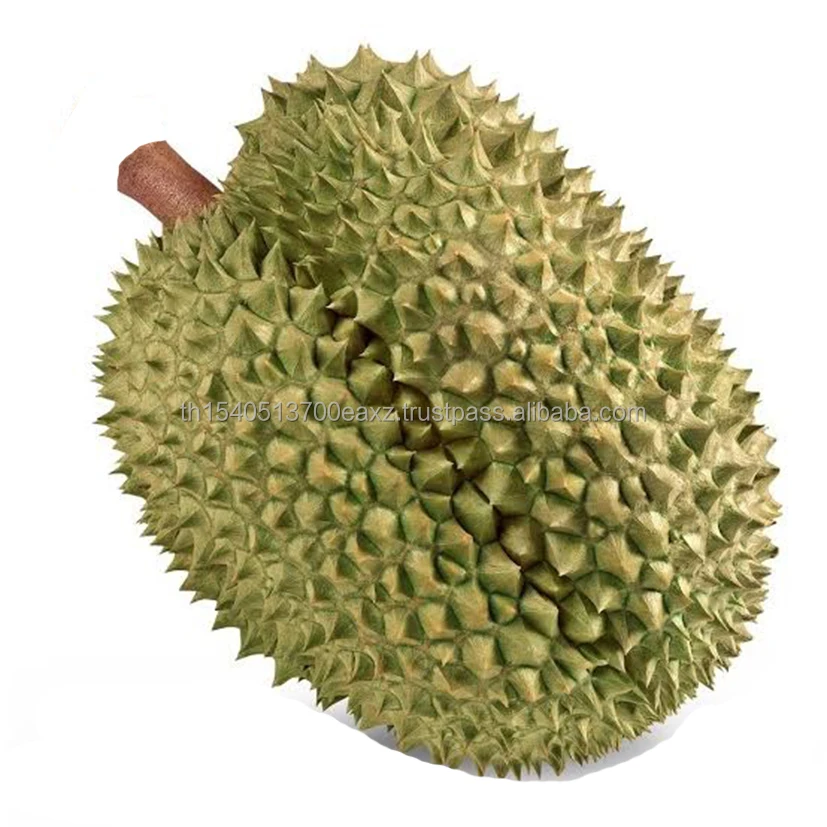 Premium  Durians Monthong from Thailand