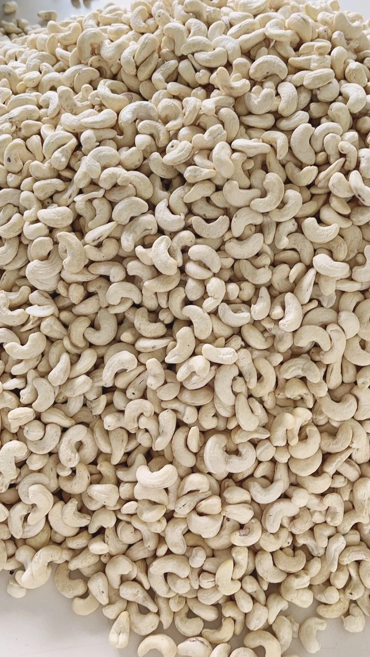 Vietnam ISO/HACCP Certification W320 Raw Cashews bulk supply Quality cashew nuts