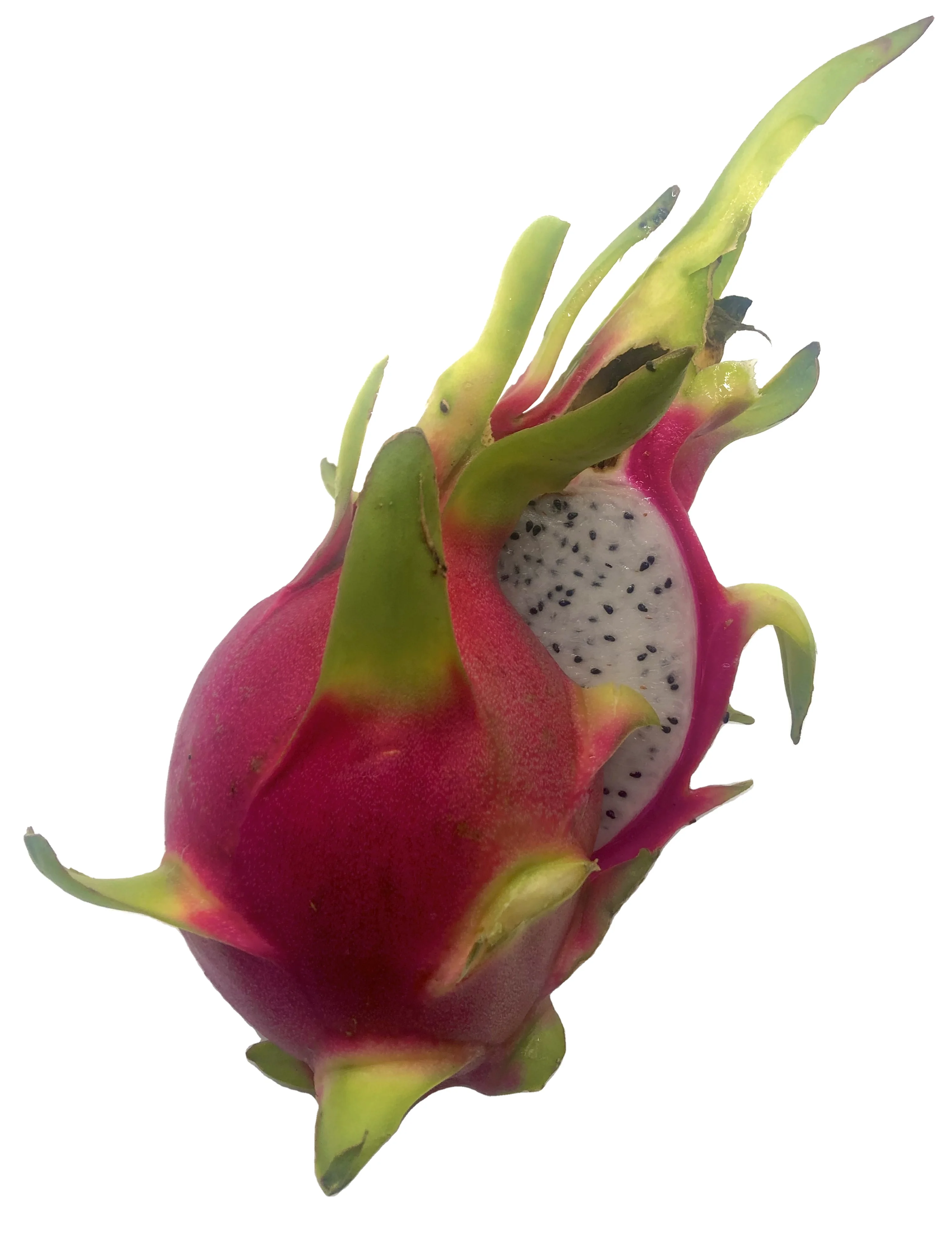 Premium Fruit, Fresh Dragon Fruit Flavorful Aromatic Sweet, White Dragon Fruit