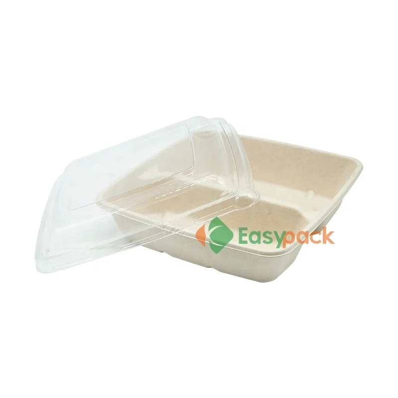 32oz biodegradable food container bagasse packaging for lunch box