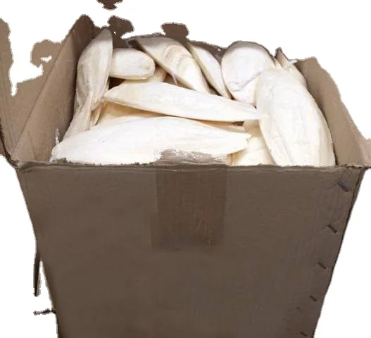 BEST SALE- Nutritional Food for Vietnamese Birds White Squid Bones Natural Dried Squid Bones