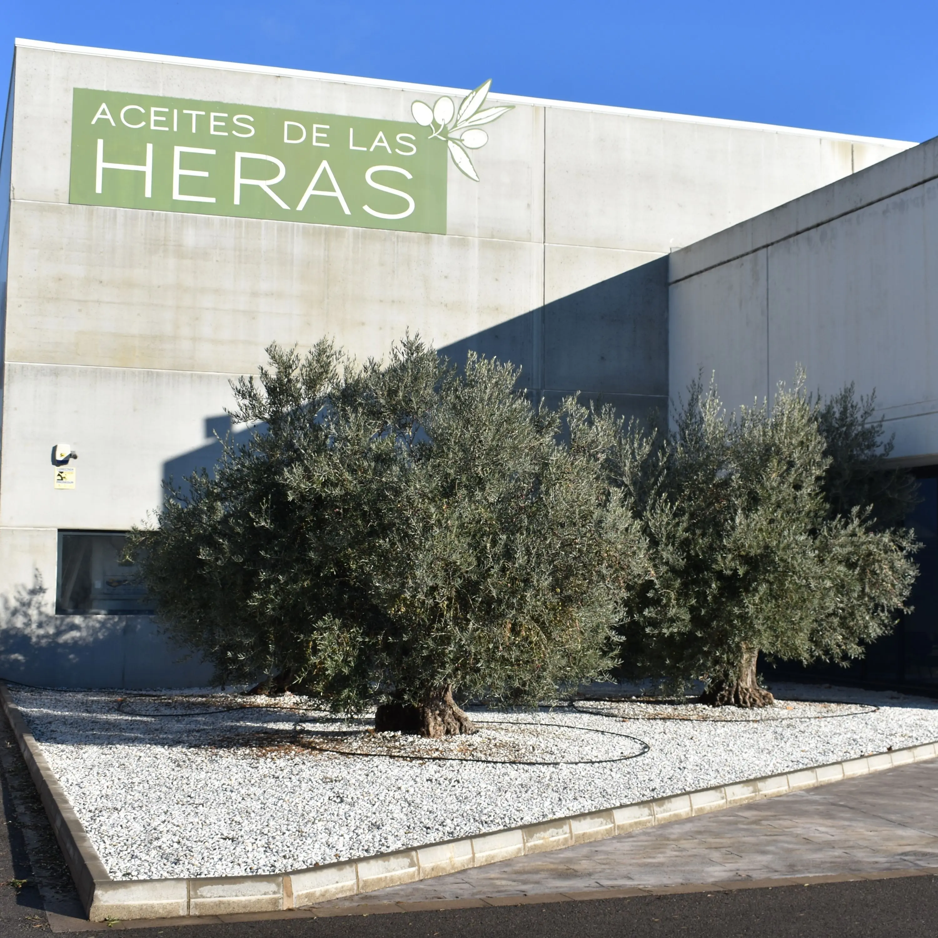 Private Label Extra Virgin Olive Oil 25 L Plastic Jerrycan for horeca & foodservice, 100% Spanish Olive Oil