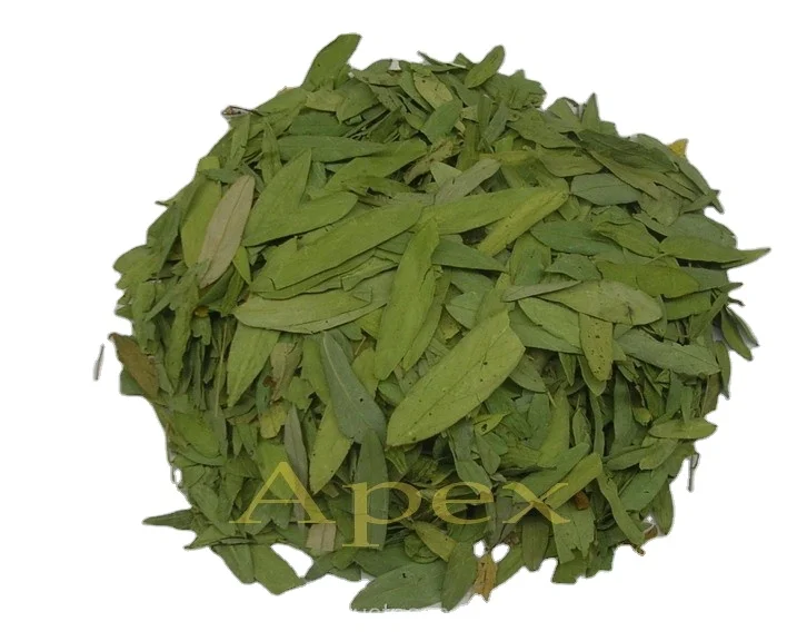 Senna листья T вырезать и листовой порошок